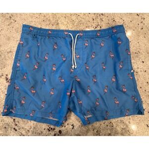 Cotton On Swim Flamingo‎ Print Swim Trunks Mens Size L Blue